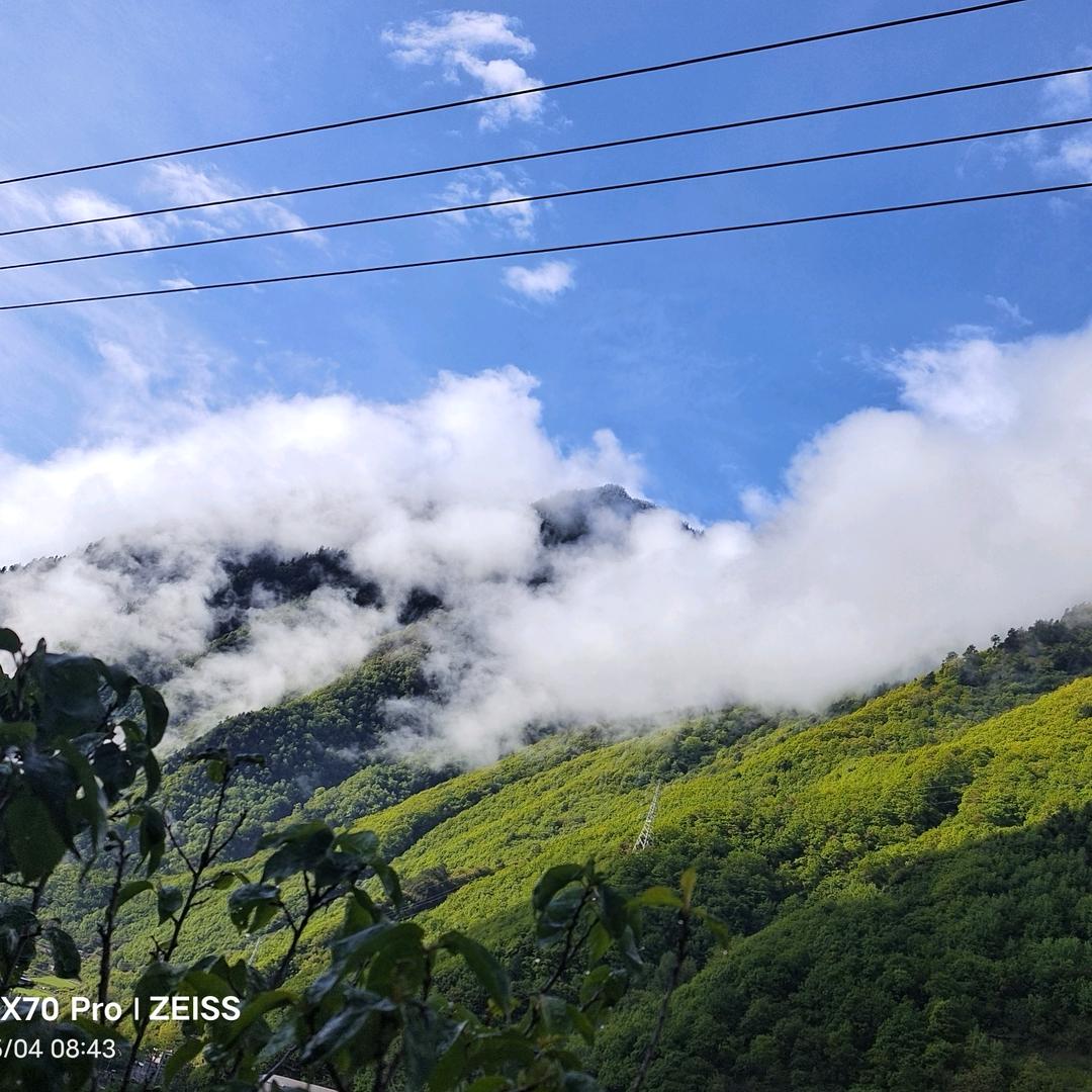 努力活成一个疯子