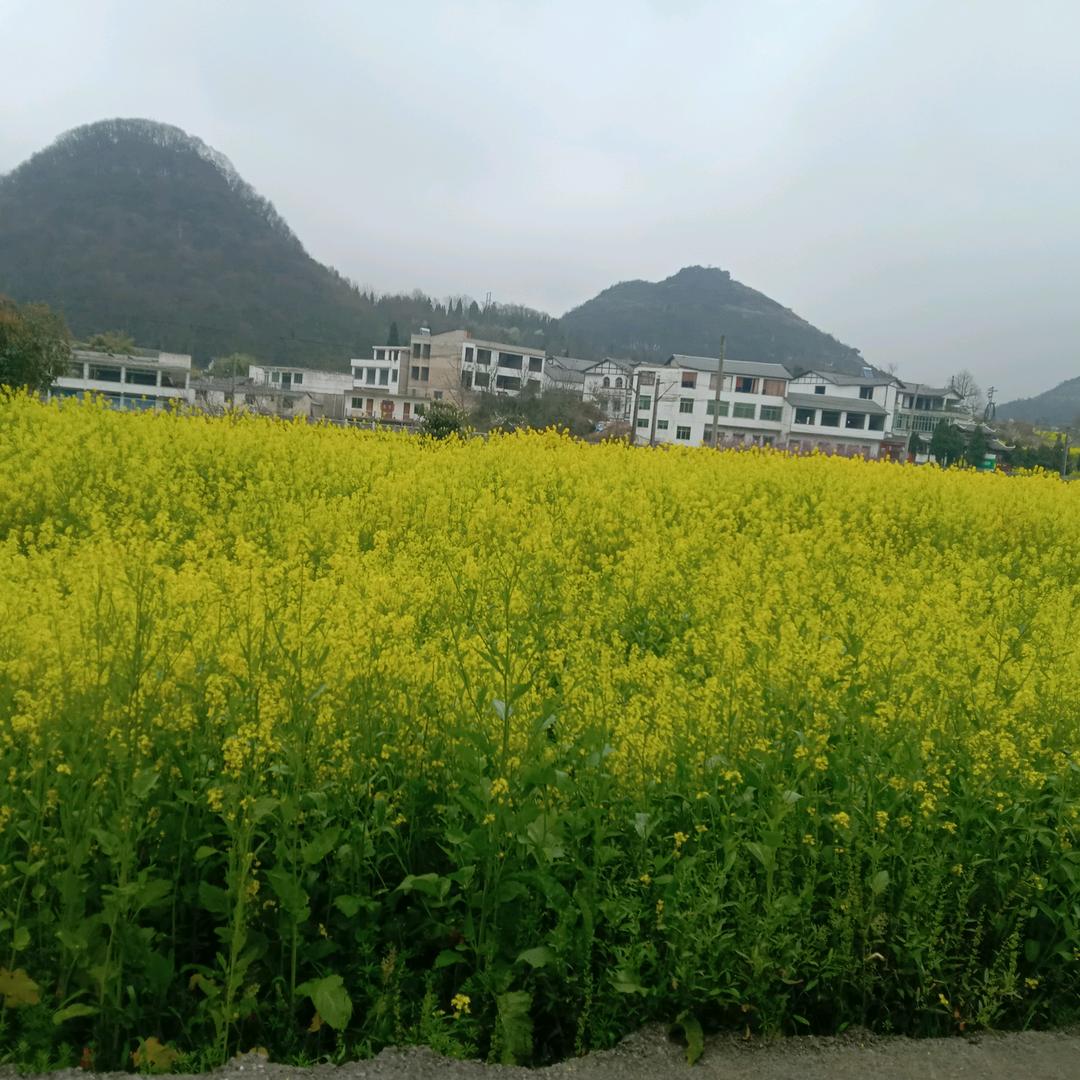 善解人意，仁贵413