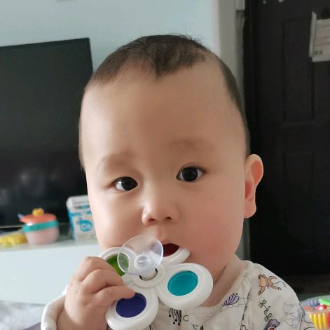 小铃铛(皓皓)