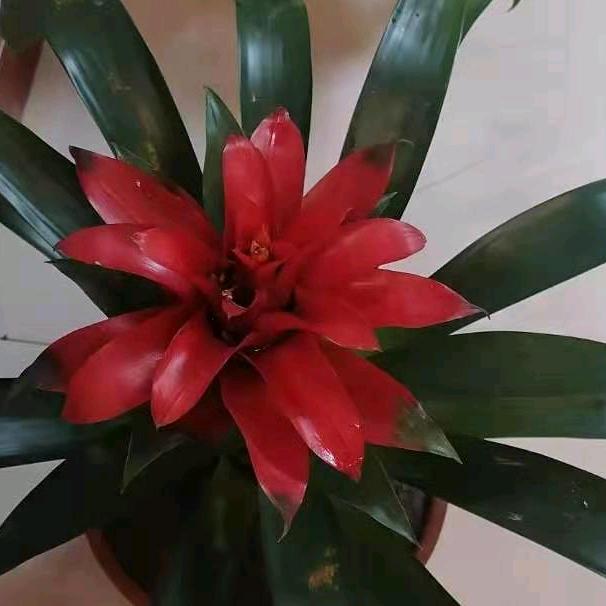 福气满满