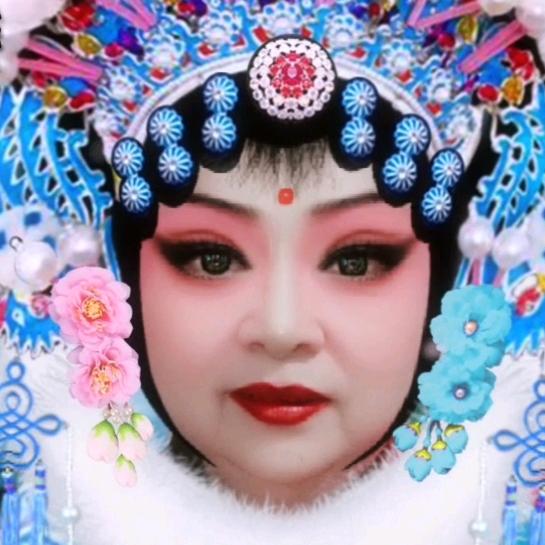 韩雪梅花