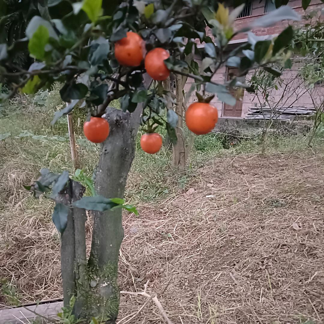 桩遇有缘人
