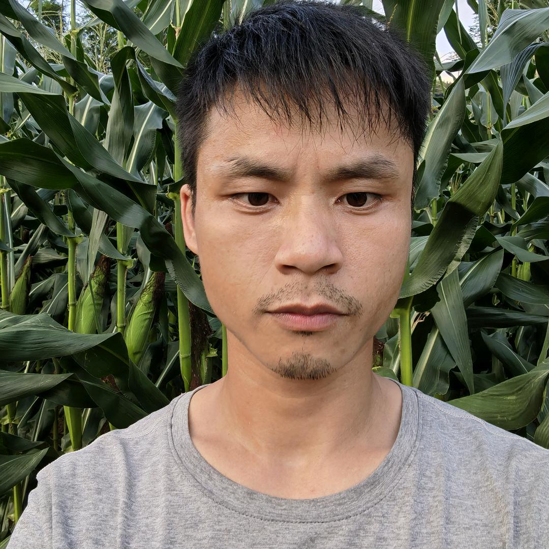 🐉成仔🐉