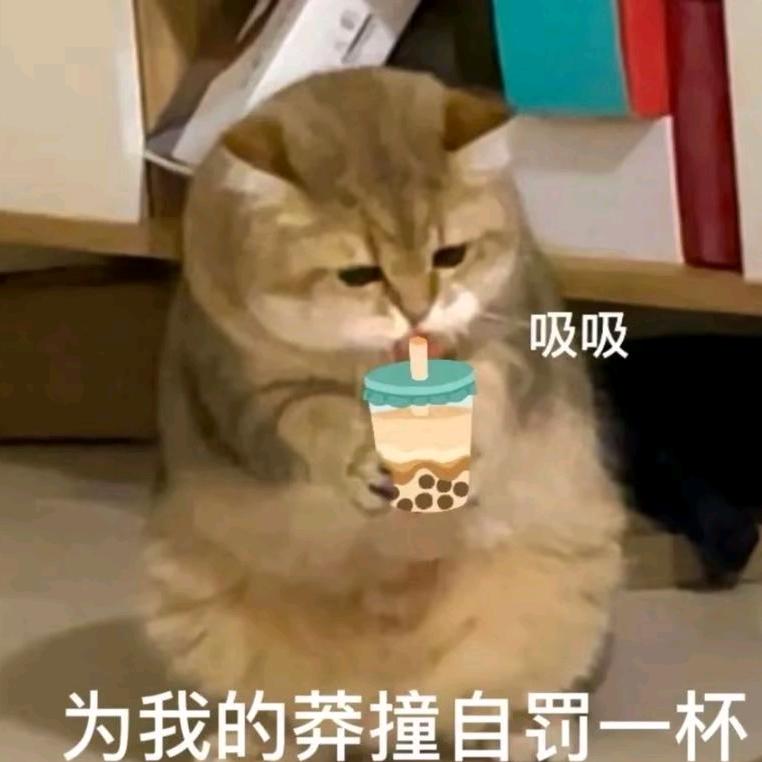 修狗叼走小猪包