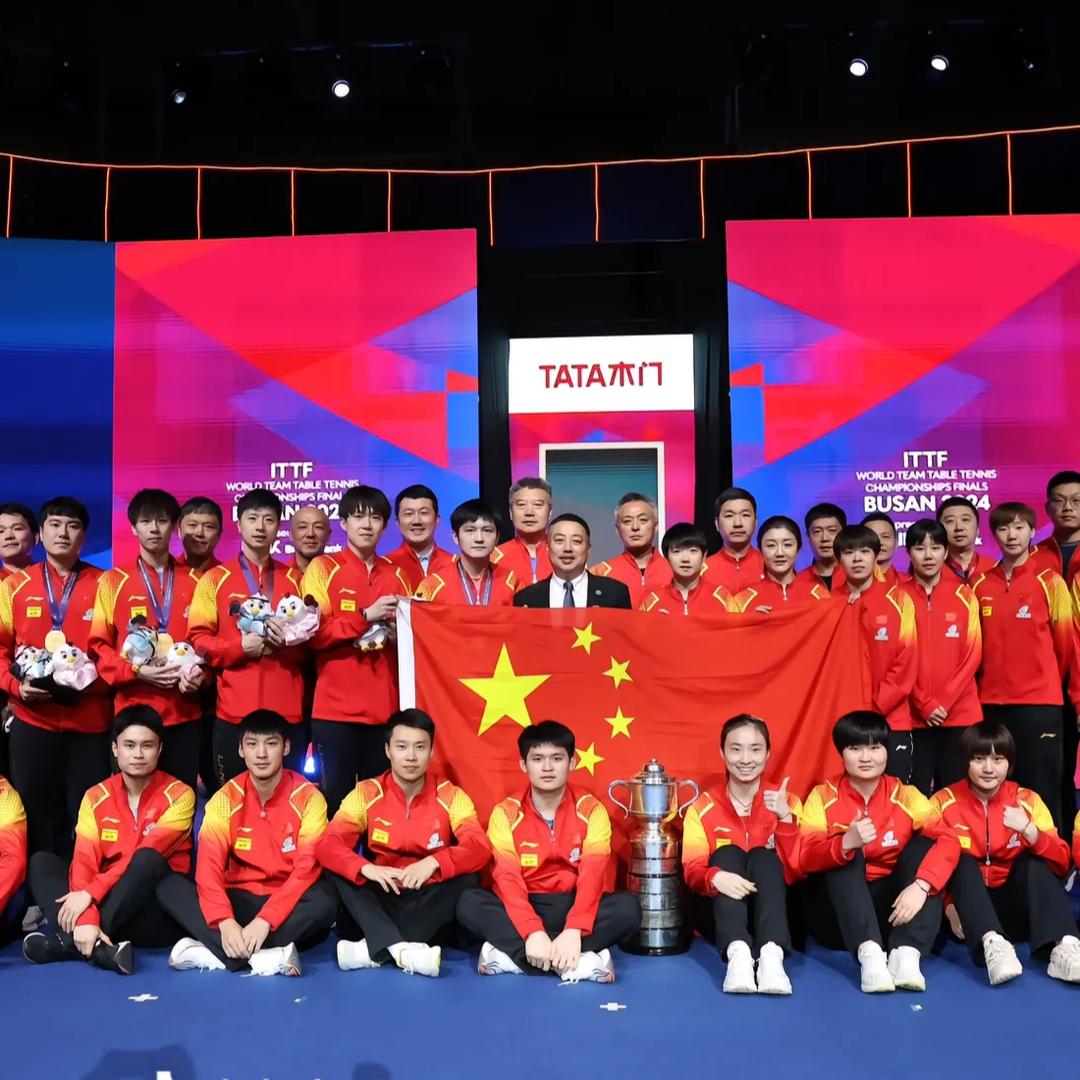 小虎（心向国乒）