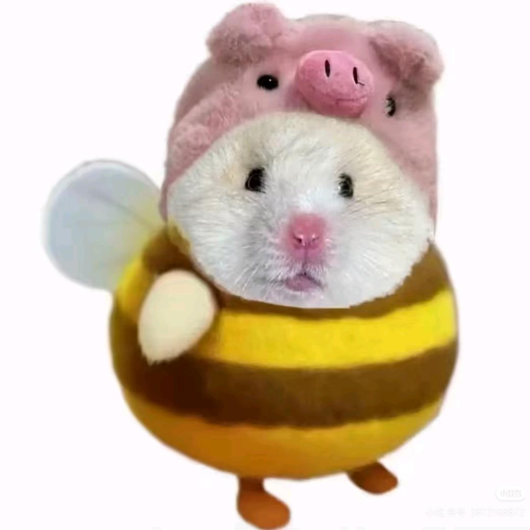 罗汉.
