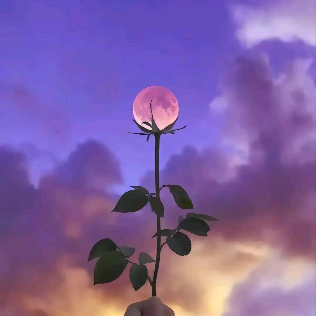 一꧔ꦿ℘生💞᪲有💞᭄᪲ᩚ꯭ᩚ你