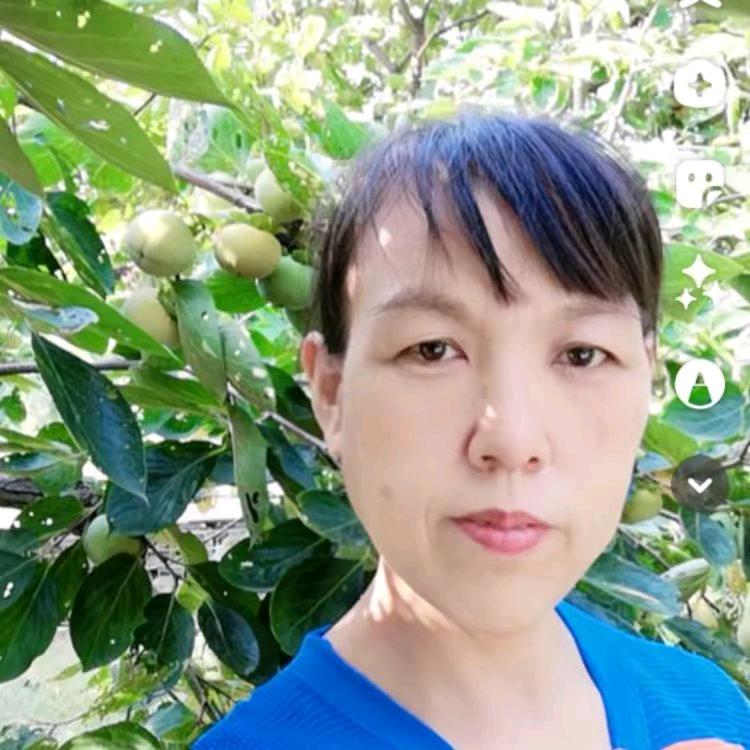 山东霞姐