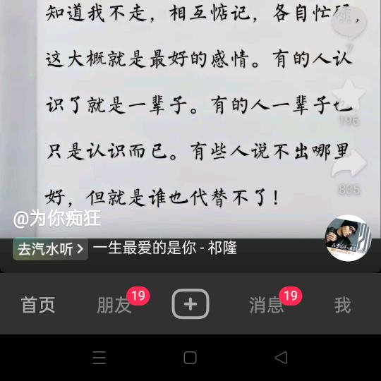 世上飞燕