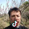 平平淡淡