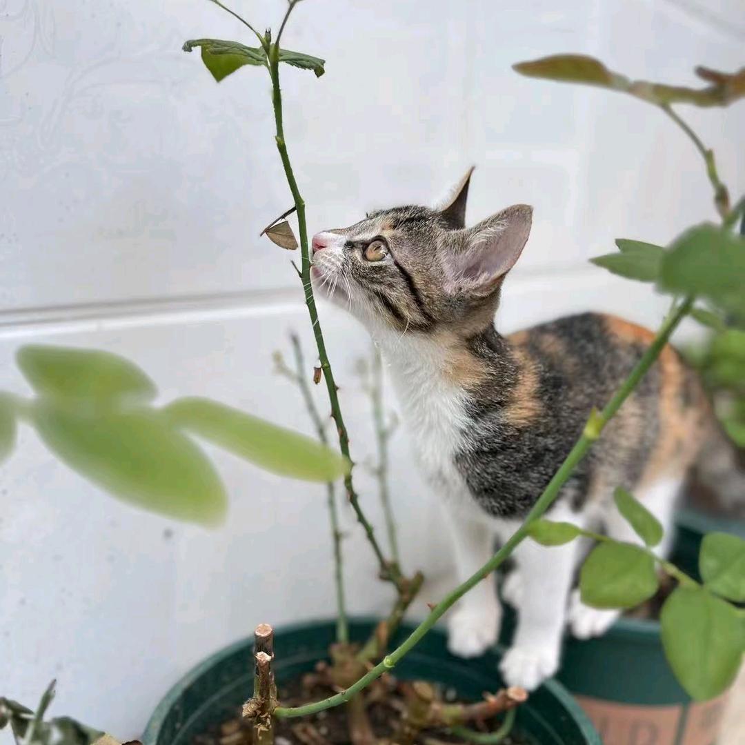 这事儿不能怪我