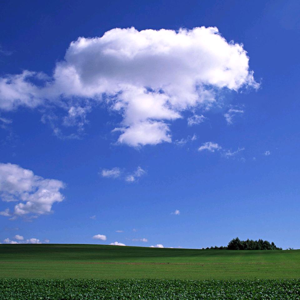 余生有李