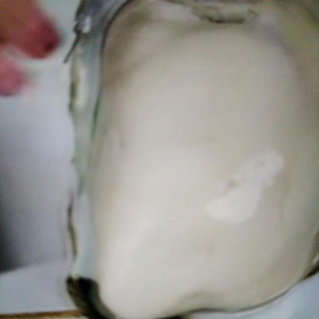 阳江蚝哥