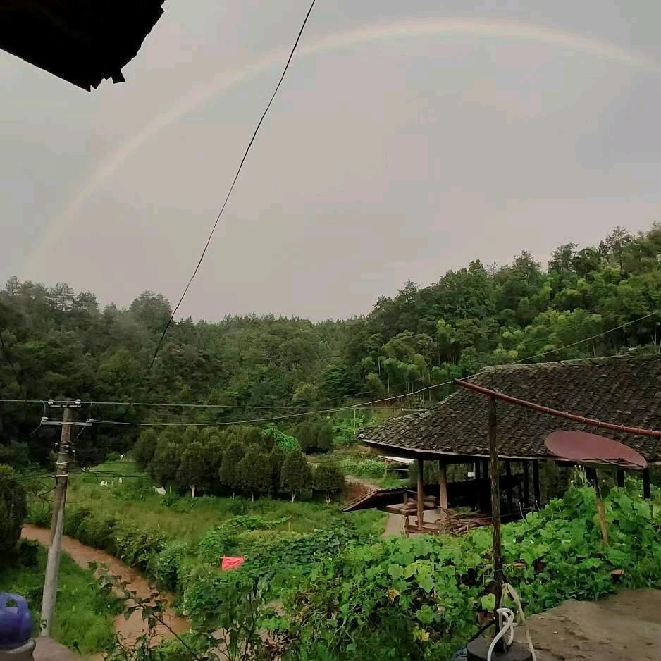 69623806153