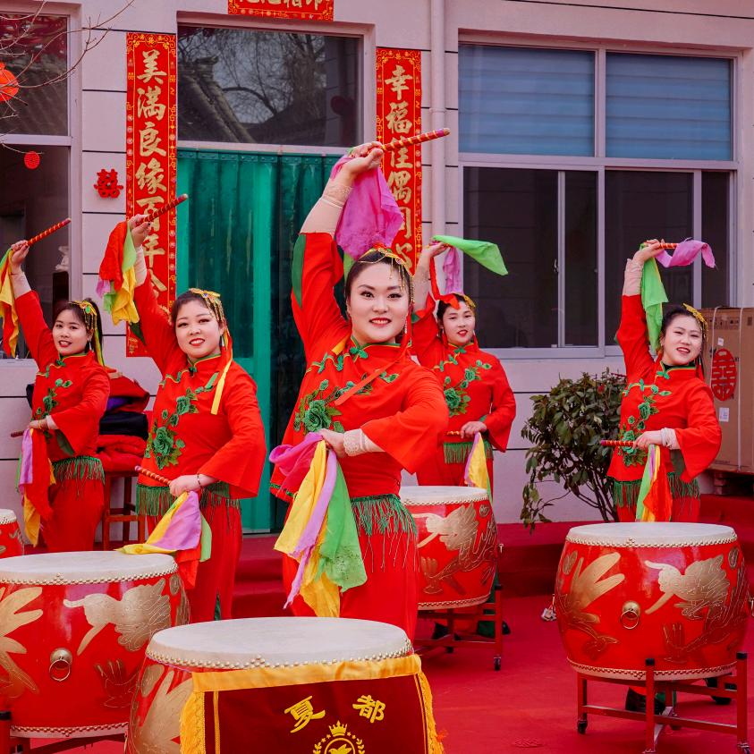 鸽子《鸽子鼓舞团_团长》