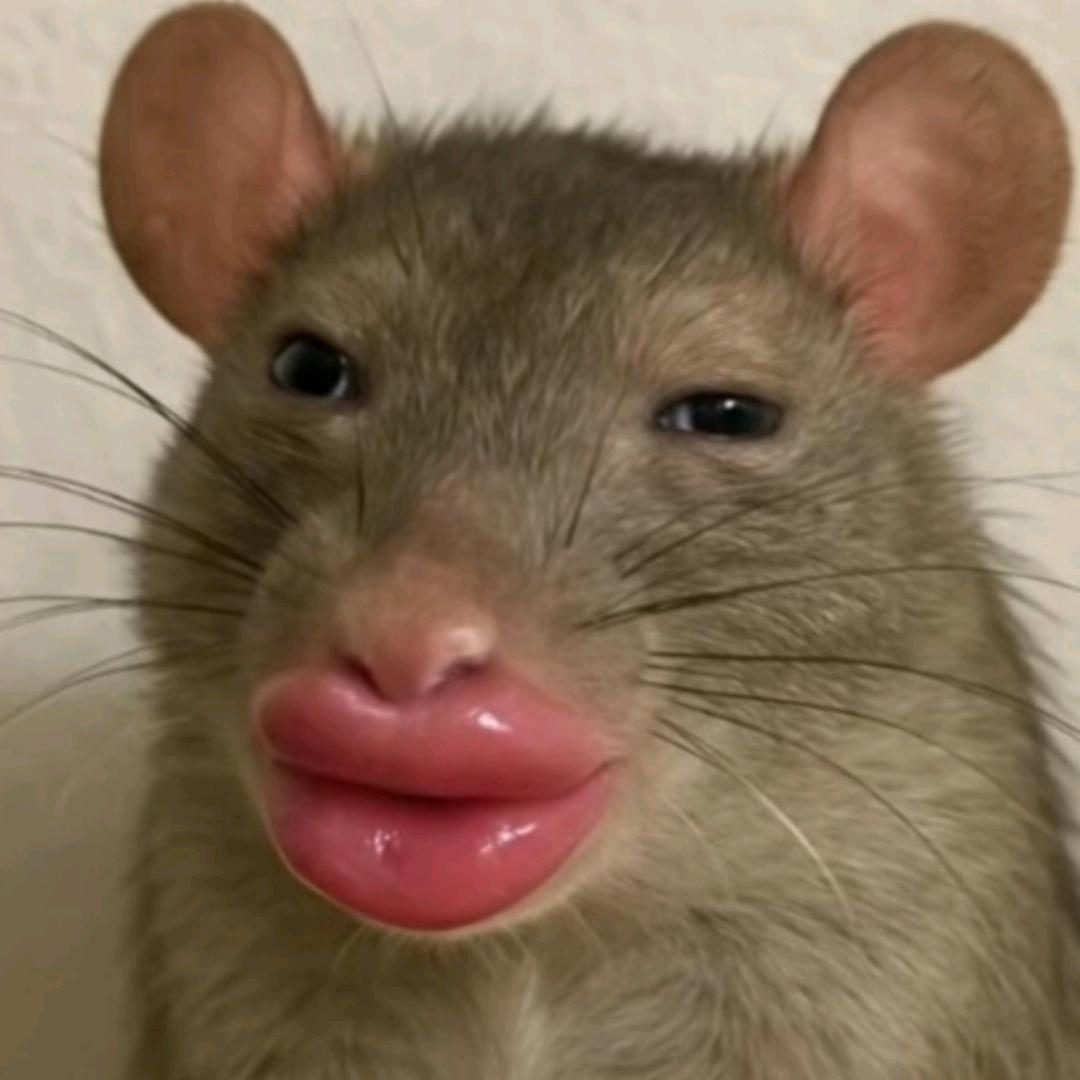满山的猴子我腚最红，