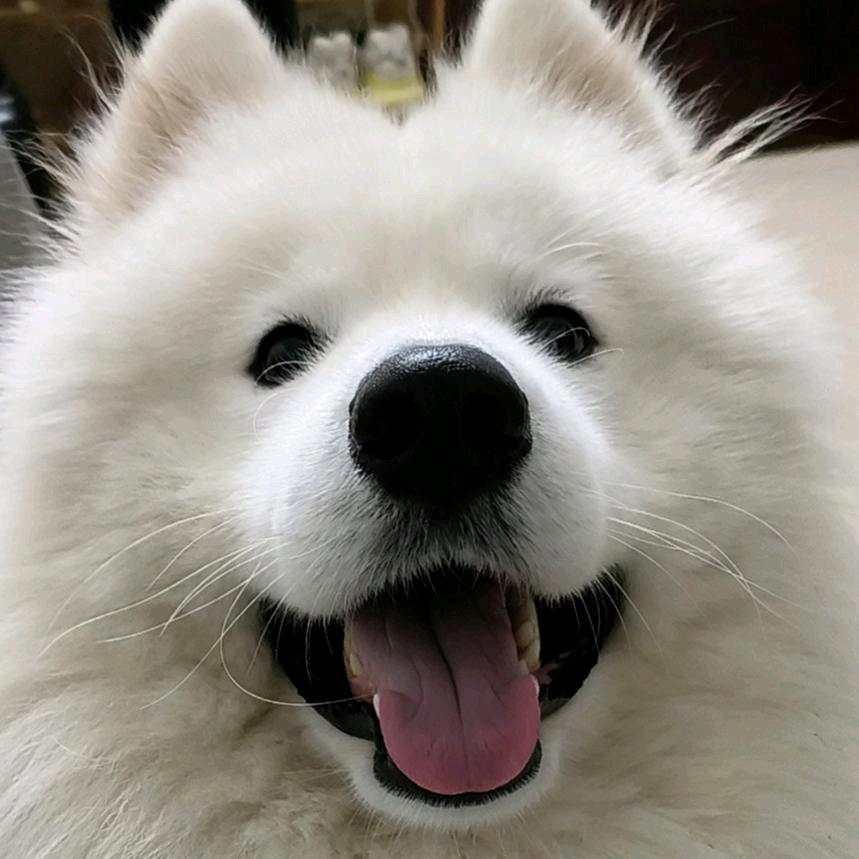 吴19