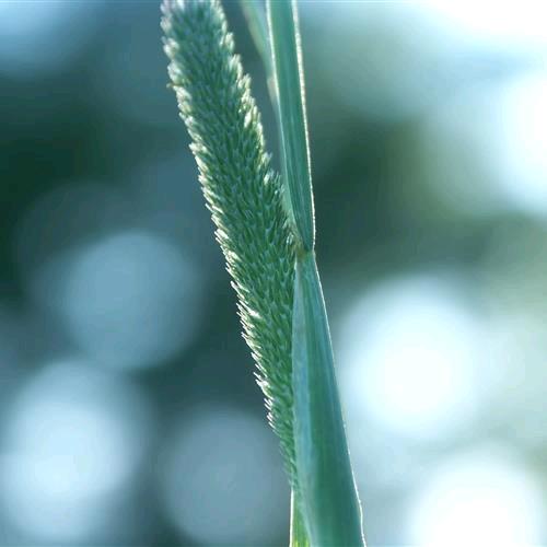 富居室内外装修