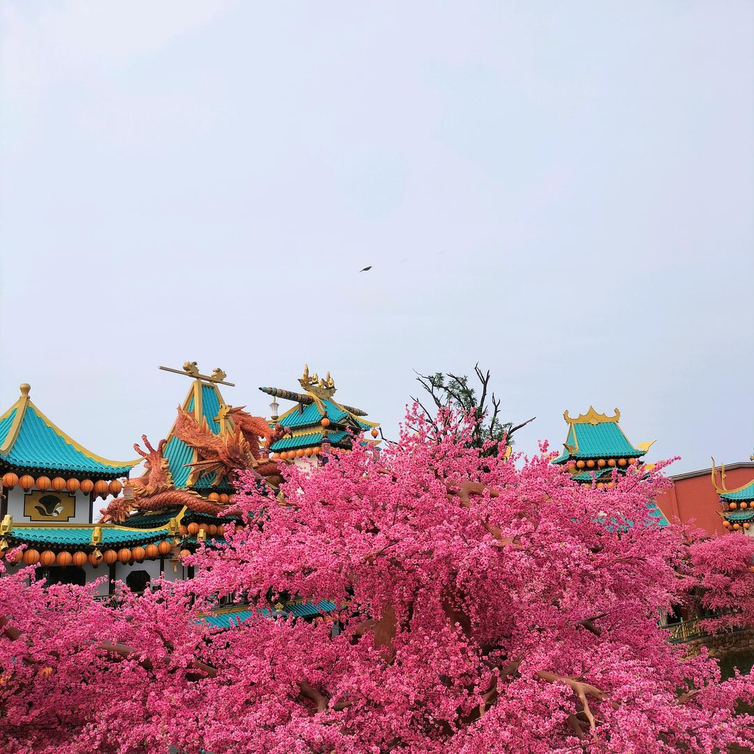 留下美好