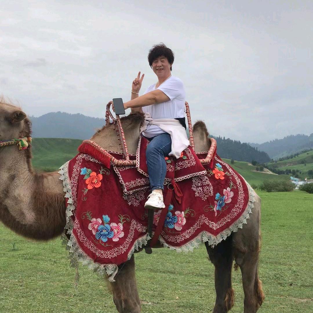 快乐老包