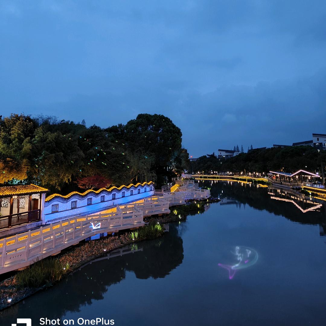 纵马踏花向自由