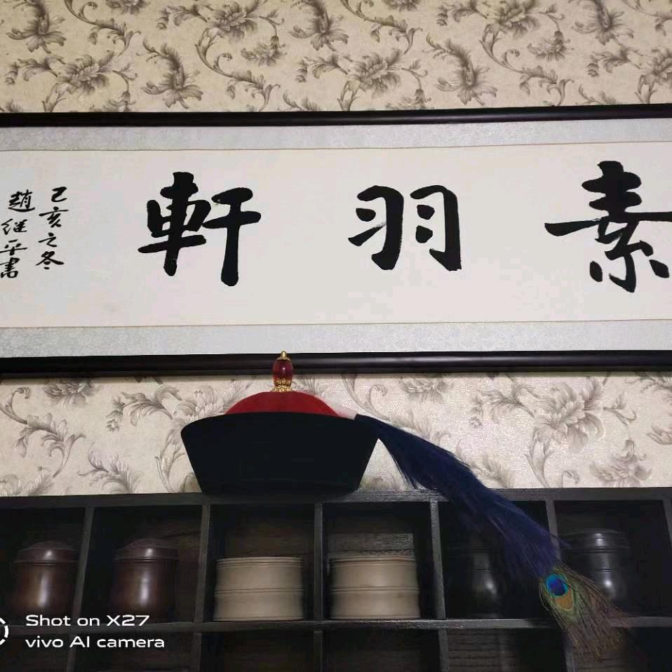 素羽轩