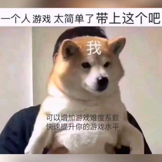 森鹤-唐