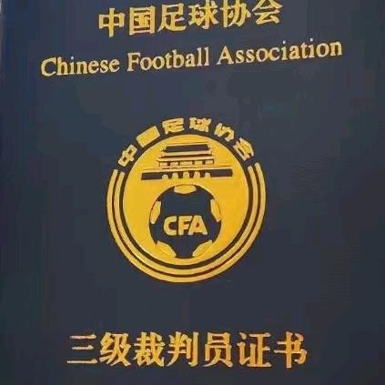 也许不懂球