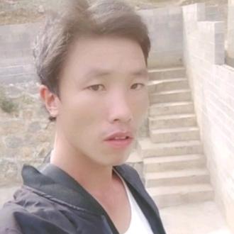 我是一个傻瓜小茶