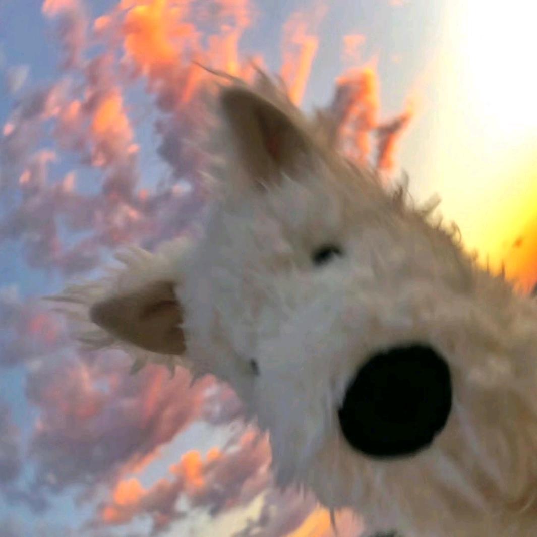 晚安晚安💤（爱喝蛋花汤版）