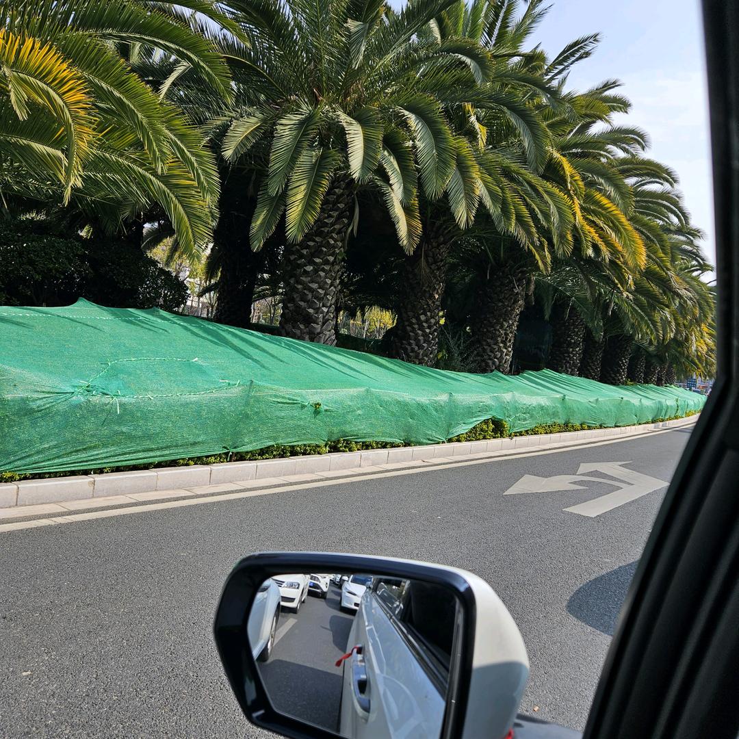 传递正能量。记录美好生活。励志人生