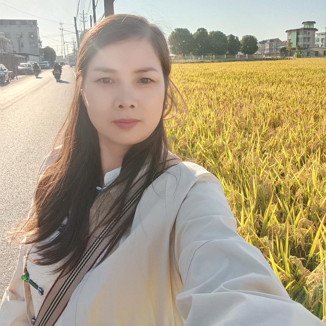 紫衣云梦