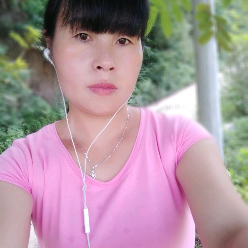 岳西翠兰