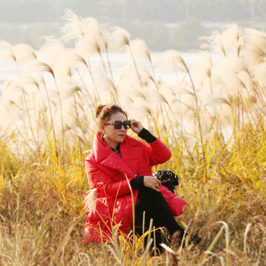 向日葵（石门县）