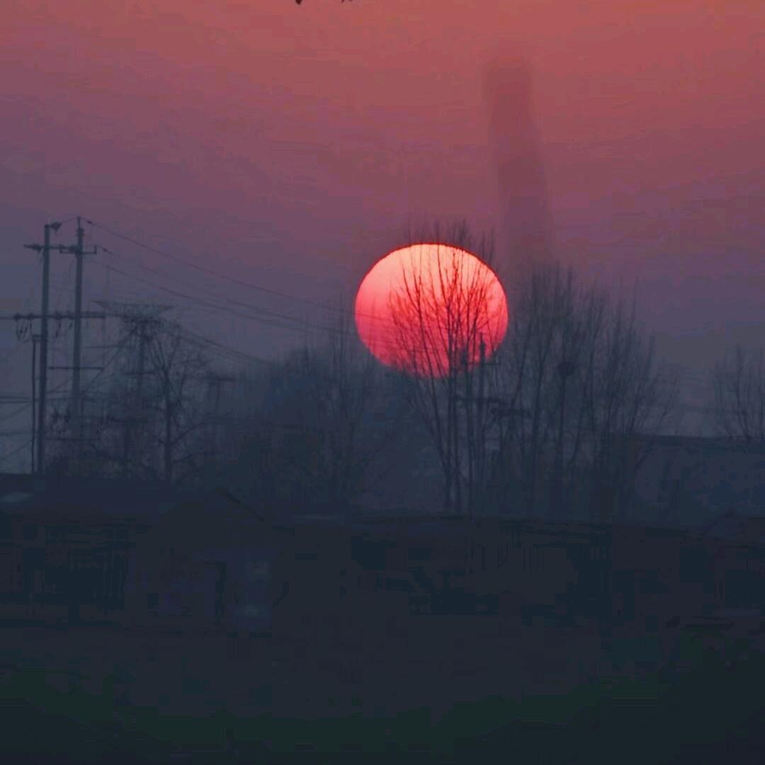 江南小培