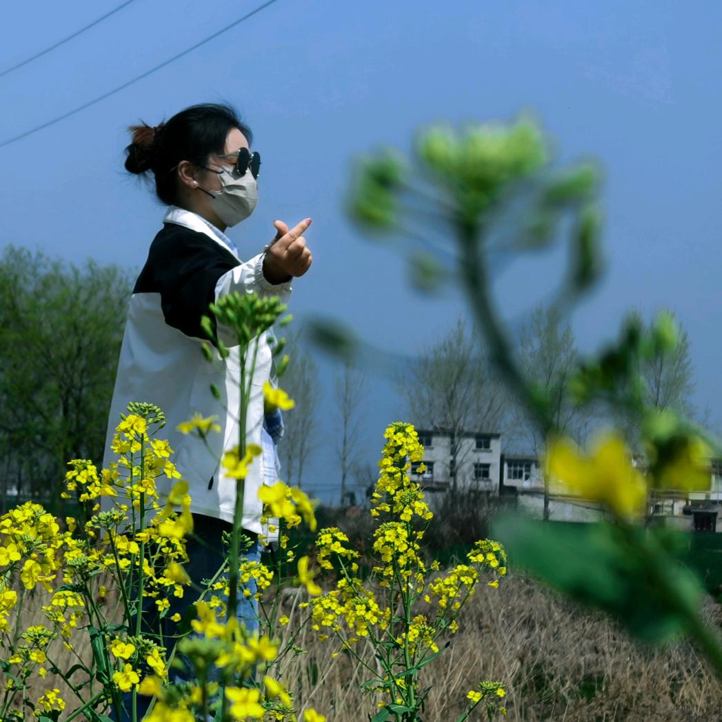 手机界的搬运工