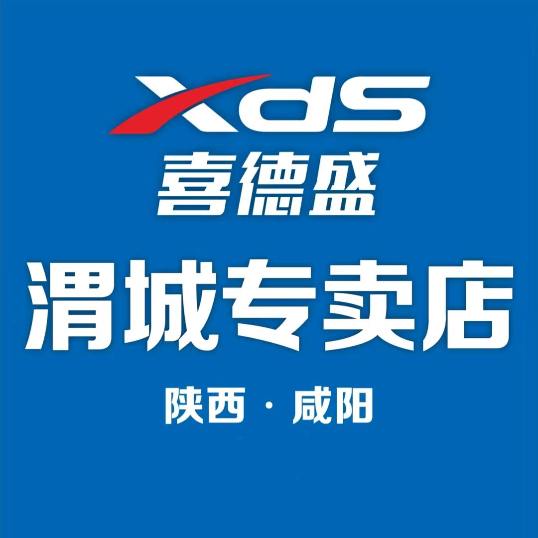XDS喜德盛自行车(咸阳渭城东风路店)
