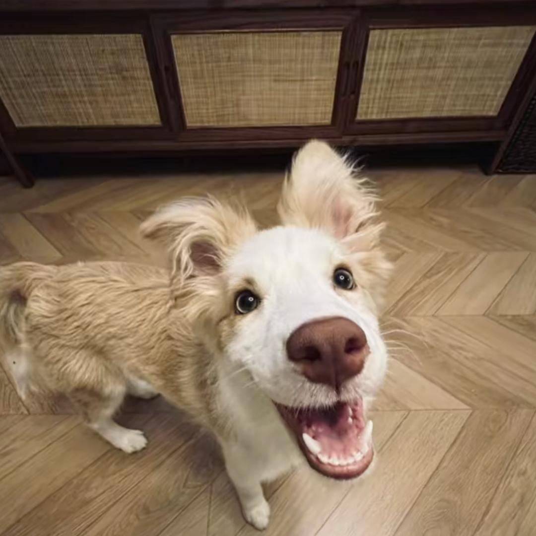 興業