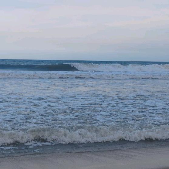 森哥好物推荐（互）