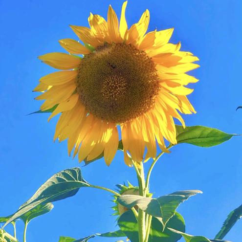 遇见更好的自已