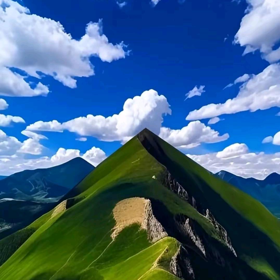拼博