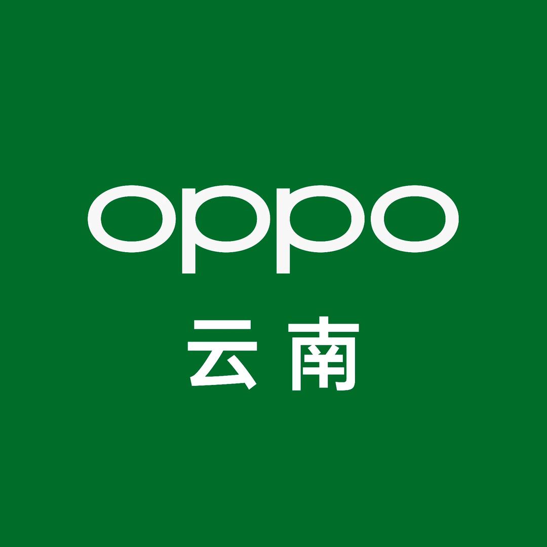 OPPO 丽江长水路店