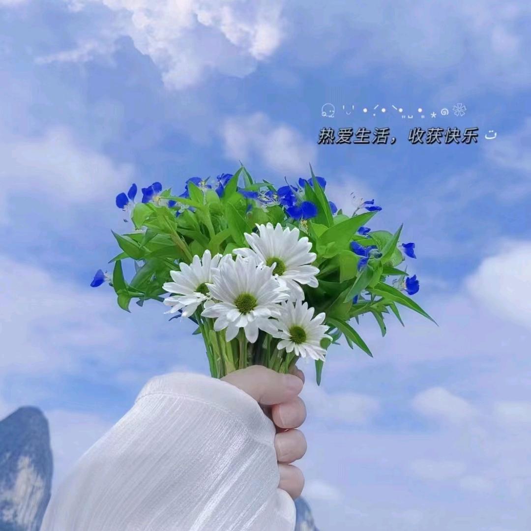 百事  可乐