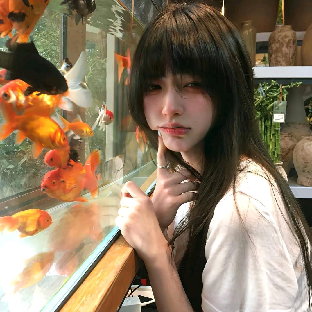 呼噜噜💤