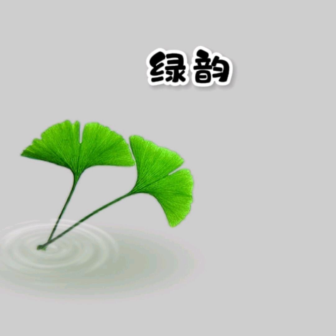 绿韵