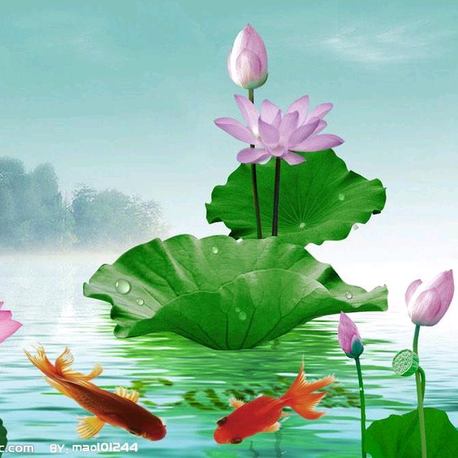 开心每一天