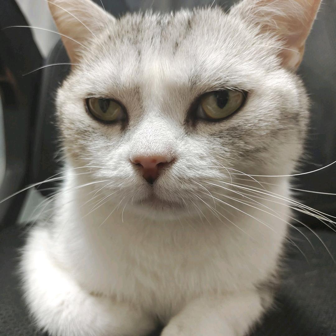 升学就业赵立东