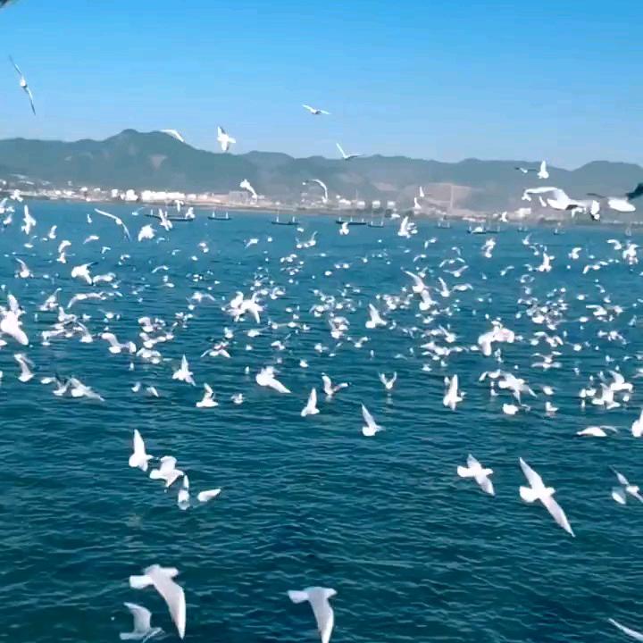 旺旺正能量