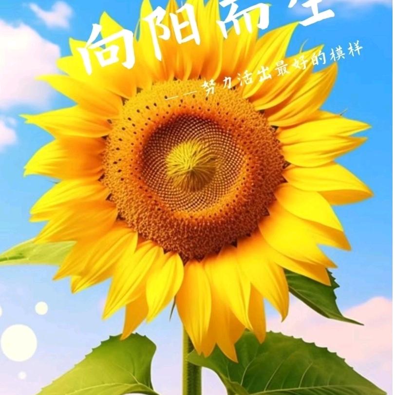 锦绣未央