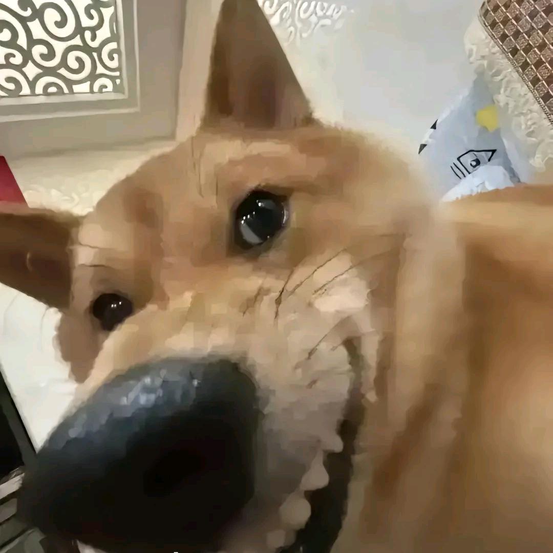 木船